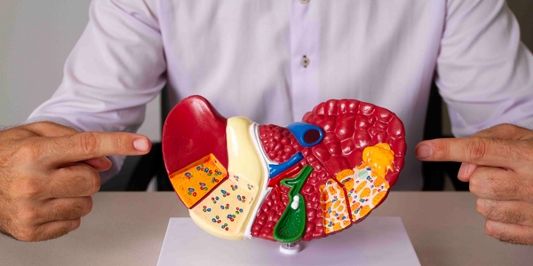 Quando procurar um Hepatologista? Entenda os sinais de alerta